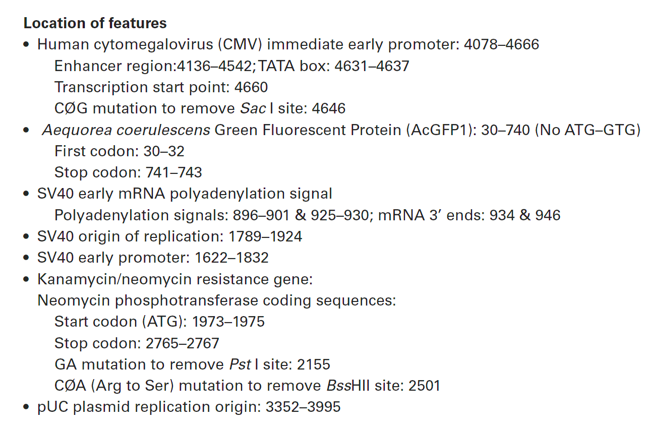 pAcGFP1-N In-Fusion Ready 载体特征